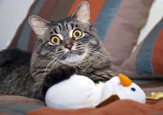 全国青少年“篮球文化创意展”在南京盛大举行,激发青少年文化自信