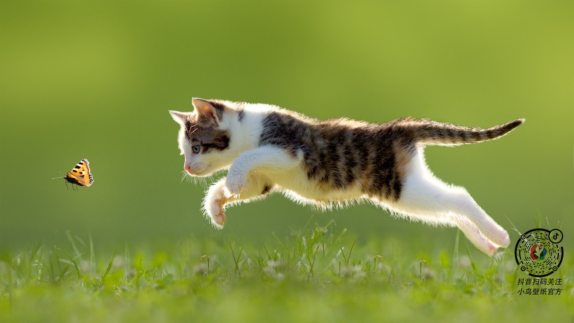 国家体育总局发布瑜伽行业发展规划,2020年瑜伽行业