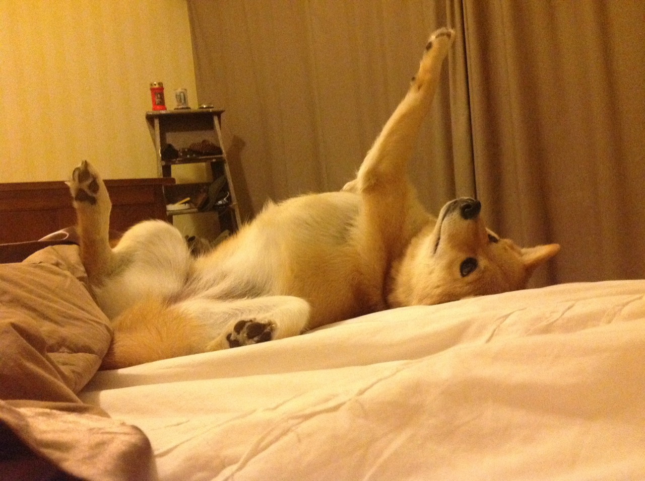 大型街头篮球表演,点燃城市夜空,街头篮球表演视频