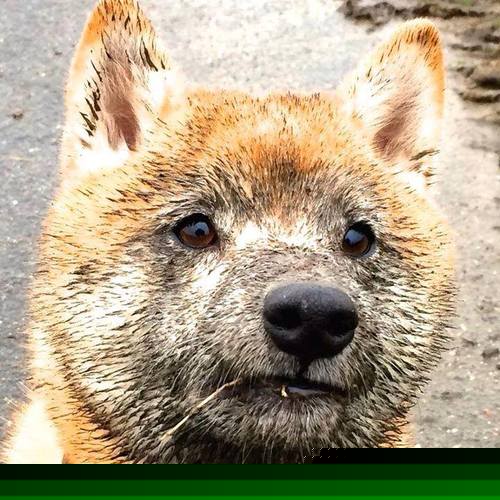 九游下载官网-特色沙滩瑜伽静修，身心放松的海边之旅，海边练瑜伽的那个人是谁