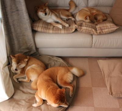 篮球训练课件数字化进程加快,篮球技术教学上课视频