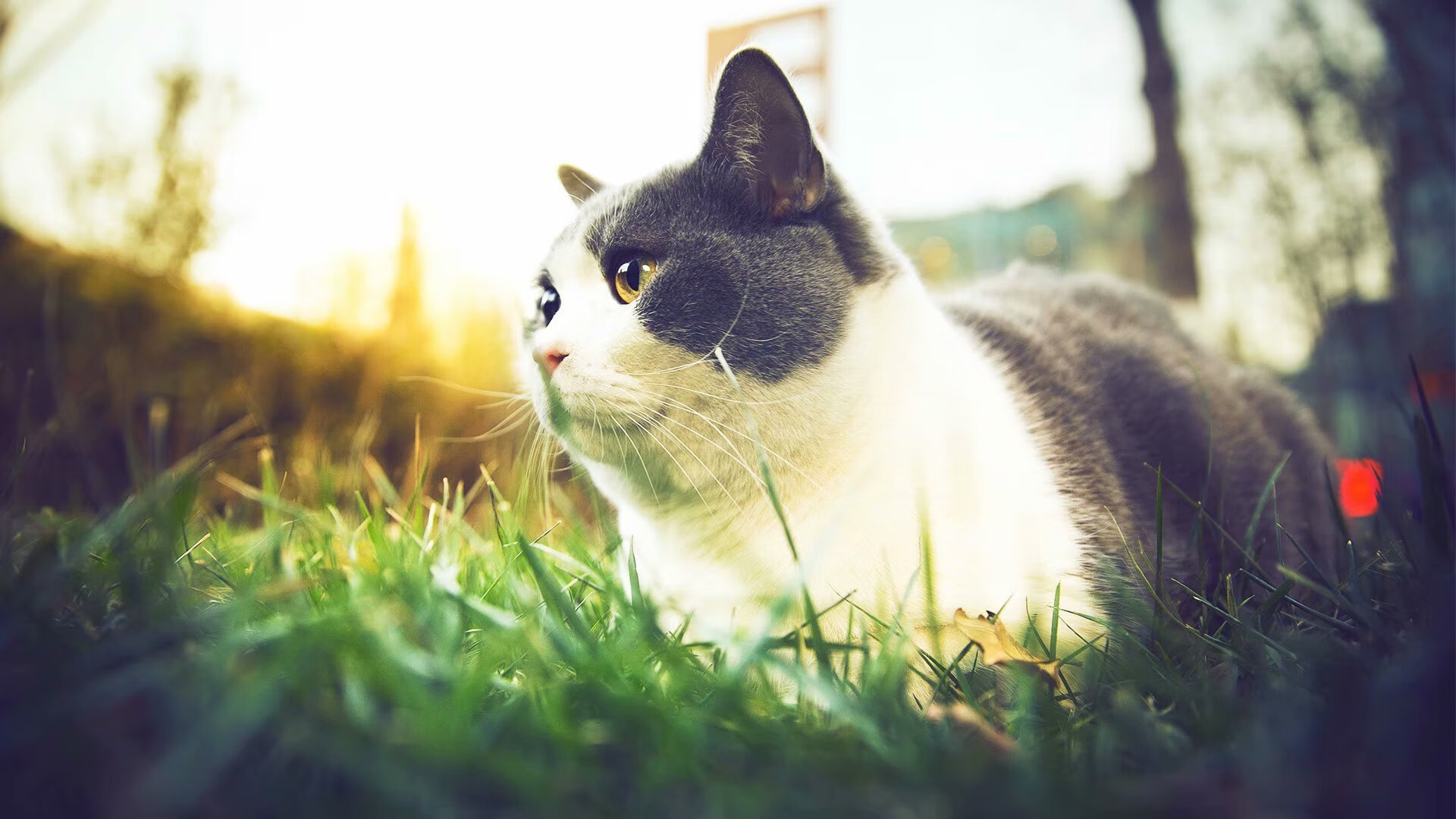 篮球训练课件数字化进程加快,篮球技术教学上课视频