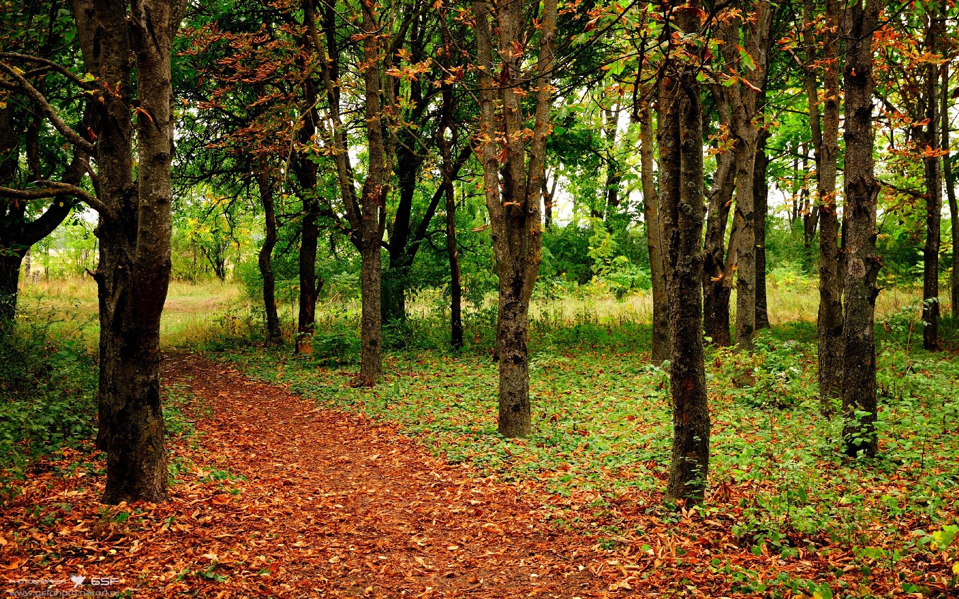 英格兰奥运首战胜利迎好彩头,英格兰参加奥运会