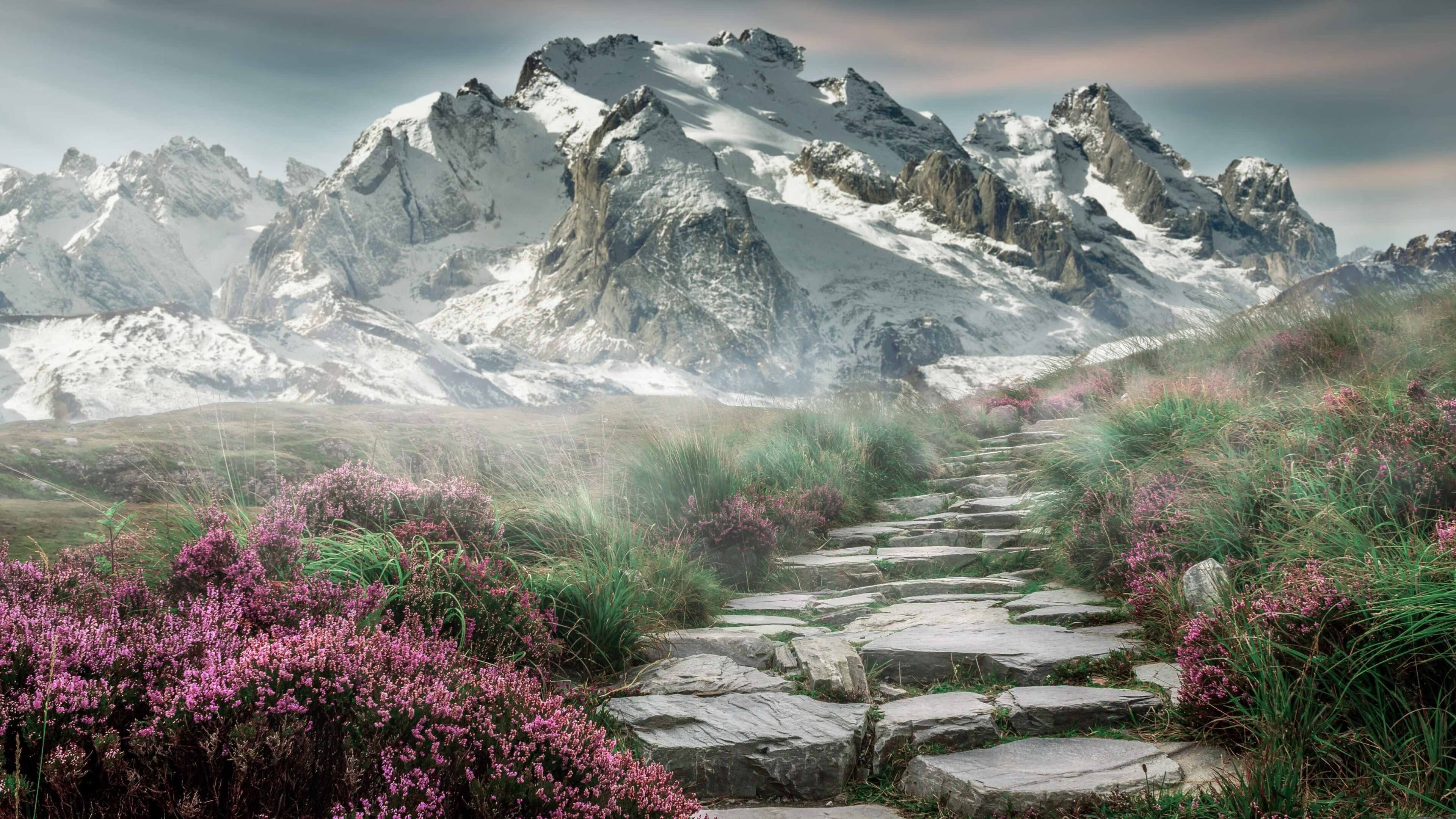 职业联赛裁判引入全职合同制模式,cba裁判职业化