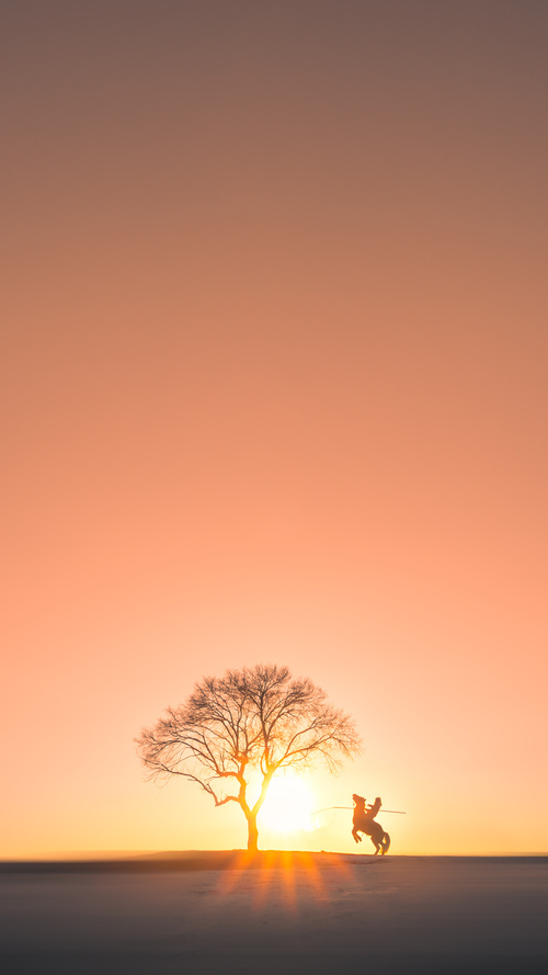 足球营地建设推动全民体育,青少年成长新引擎,足球基地运营方案