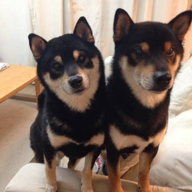 一场比赛中新秀球员展现出色的表现,球星新秀