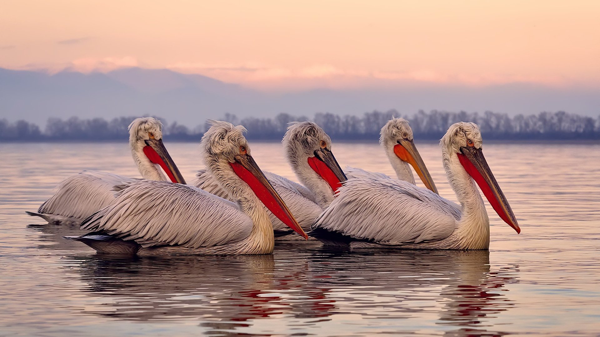 七六人进攻乏力输给猛龙,七六人队大名单