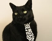 保加利亚队在欧预赛中突围成功,展现实力,保加利亚队的独特至极